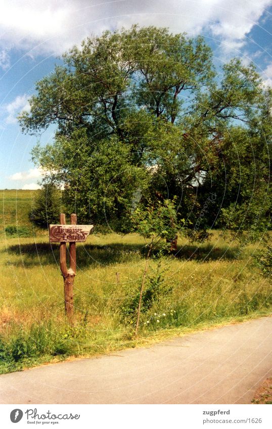 Tree_1 Meadow Signs and labeling Nature Lanes & trails