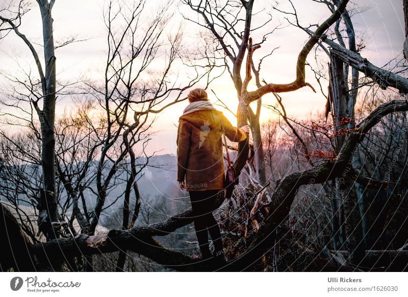 uprooted II Hiking Climbing Mountaineering Feminine Young woman Youth (Young adults) Woman Adults 1 Human being 18 - 30 years Environment Nature Landscape Sky