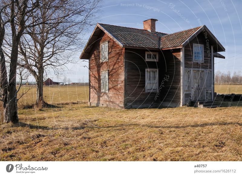 Abandon house Borlänge Dalarna Sweden House (Residential Structure) Run-down Rotting Tree Sky condemned old house Sagging Tract Spooky Rural Heap Empty Remote