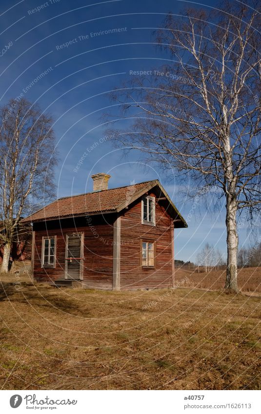 Abandon house Borlänge Dalarna Sweden House (Residential Structure) Run-down Rotting Tree Sky condemned old house Sagging Tract Spooky Rural Heap Empty Remote