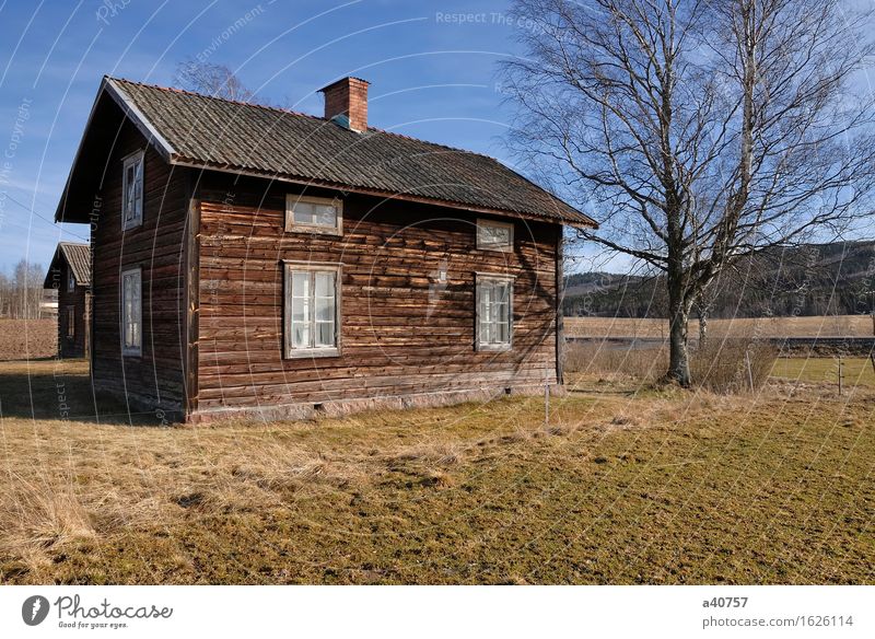 Abandon house Borlänge Dalarna Sweden House (Residential Structure) Run-down Rotting Tree Sky condemned old house Sagging Tract Spooky Rural Scene Heap Empty