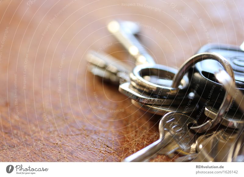 key Wood Key Lie Glittering Many Identity Uniqueness Independence Future Home country Colour photo Subdued colour Close-up Macro (Extreme close-up)