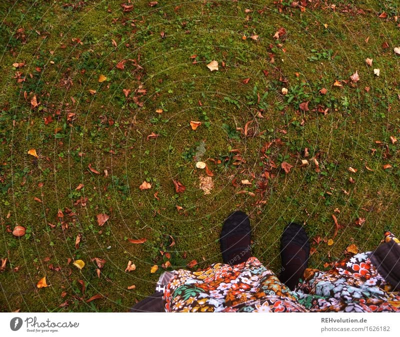 mainly green Human being Feminine Woman Adults Feet 1 18 - 30 years Youth (Young adults) Autumn Garden Park Meadow Stand Multicoloured Green Joy Happy Adventure