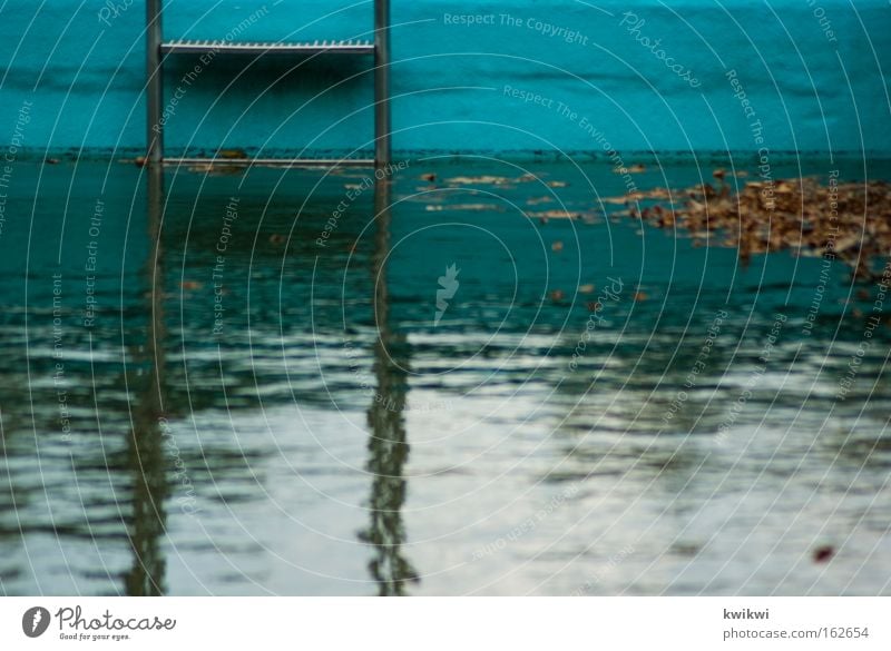 childhood memory Open-air swimming pool Swimming pool Ladder Water Wet Dive Leaf Decline Time Derelict Algae Dirty Transience