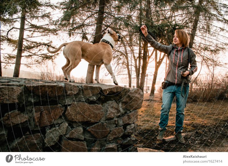 Young woman is training her dog in the evening park. Lifestyle Vacation & Travel Trip Freedom City trip Youth (Young adults) 1 Human being 18 - 30 years Adults