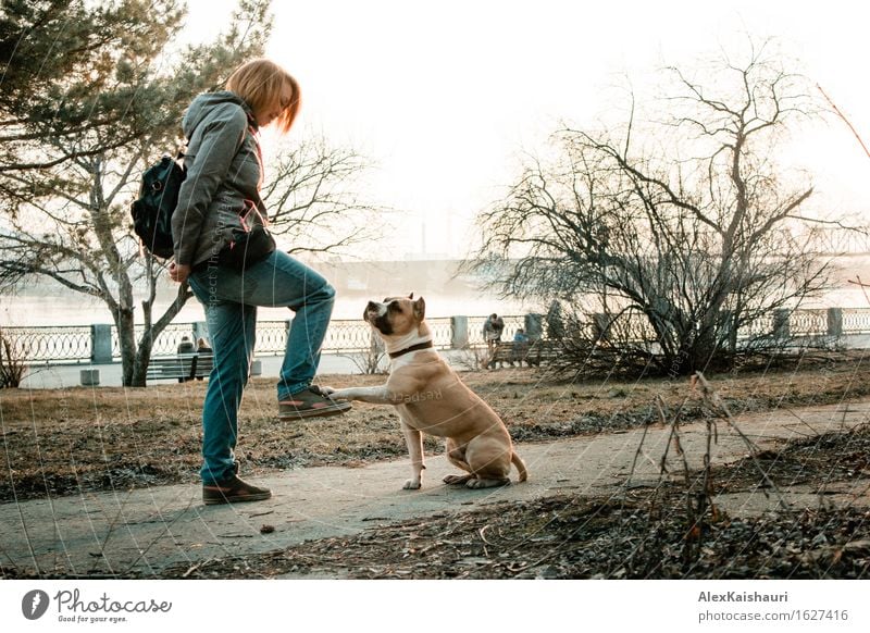 Young woman is training her dog in the evening park. Lifestyle Joy Vacation & Travel Adventure Freedom City trip Summer Sun Human being Woman Adults Friendship