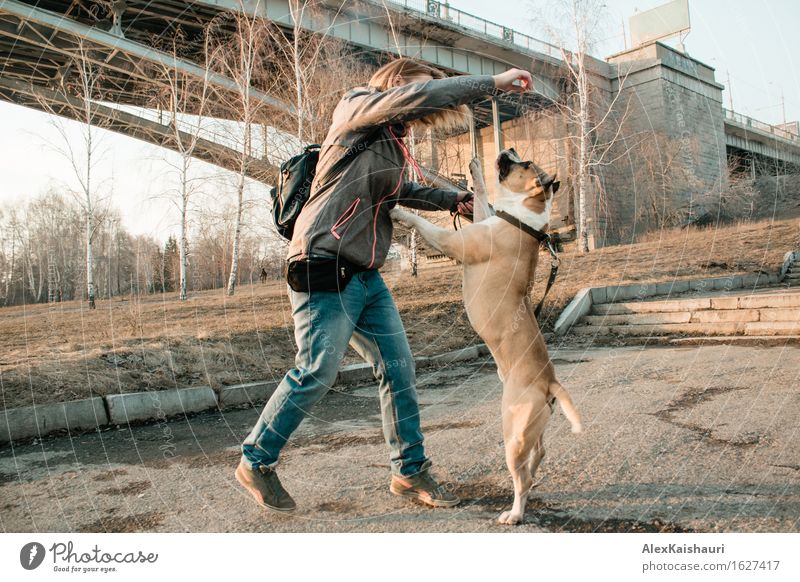 Young woman is training her dog in the evening park. Lifestyle Vacation & Travel Trip Adventure Freedom City trip Human being Youth (Young adults) 1