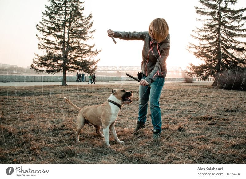 Young woman is playing with her dog in the evening park. Lifestyle Vacation & Travel Trip Freedom City trip Summer Sun Youth (Young adults) 1 Human being