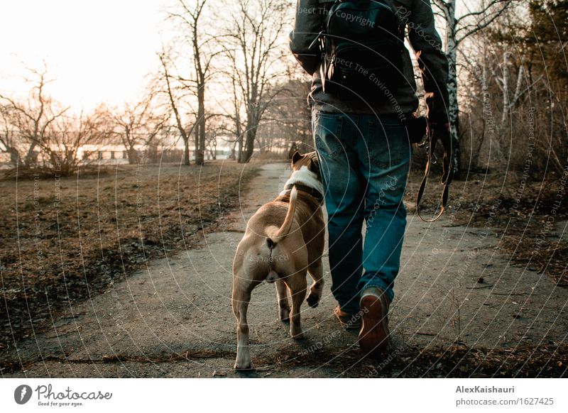 Young woman is walking with her dog in the evening park. Lifestyle Vacation & Travel Freedom City trip Summer Sun Feminine Youth (Young adults) 1 Human being