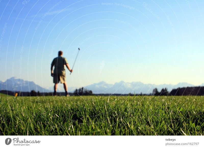 The Golfer Mountain Sports Ball sports Golf course Alps Allgäu Swiss Alps Austrian Alps German Alps Italian Alps Tee off Lechbruck Colour photo