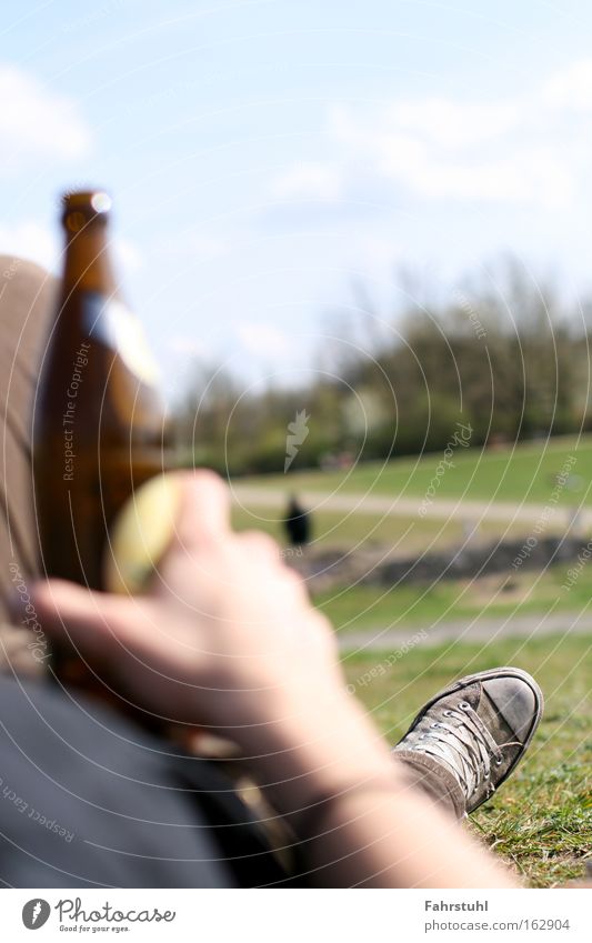 Chill with Sterni in the sun! Meadow Chucks Summer Sky Beer Park star Drinking