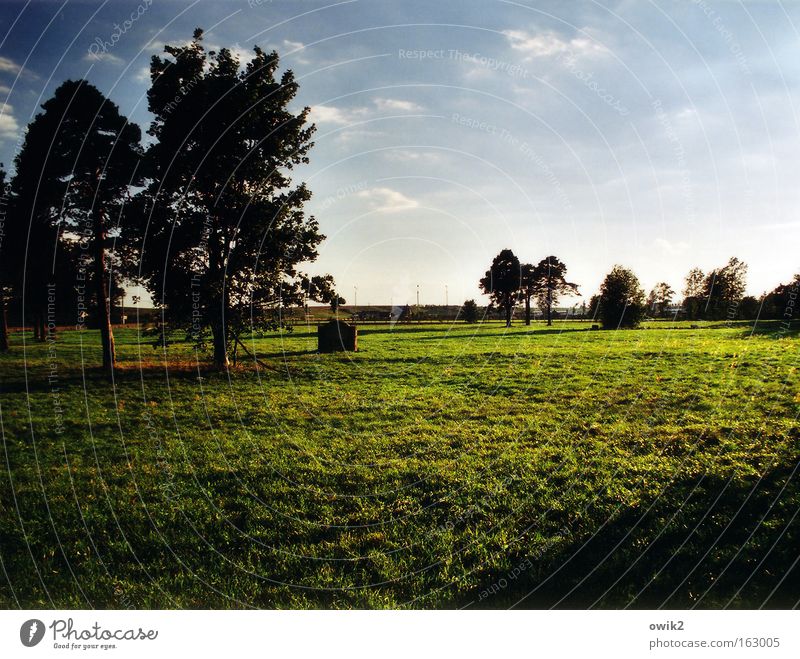 Sad place Colour photo Exterior shot Deserted Copy Space right Copy Space top Copy Space bottom Evening Light Shadow Contrast Sunlight Sunbeam Plant Tree Meadow