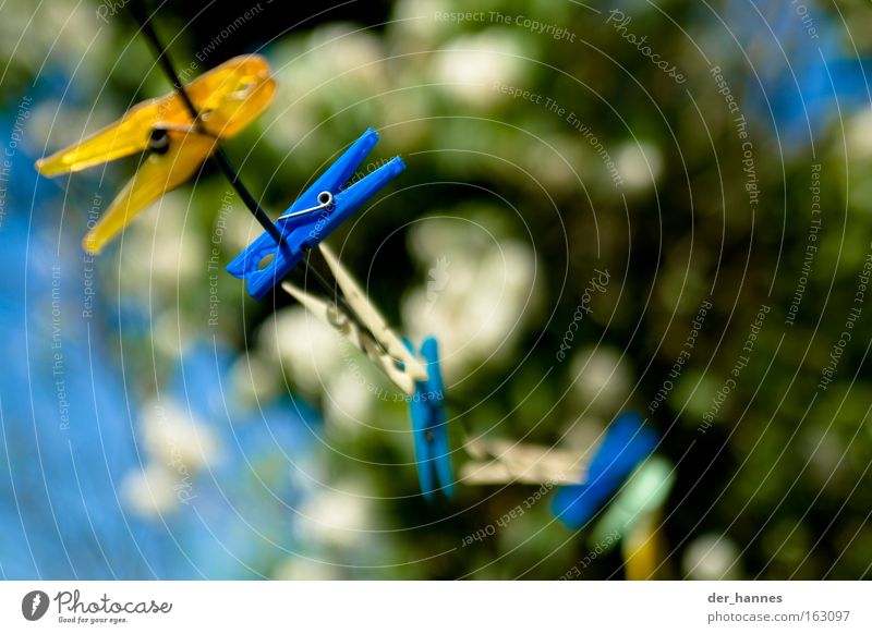 ClipClap Clothes peg Multicoloured Blue Yellow White Clothesline Blur Focal point Summer Dry Empty Blossom Colour Spring Clothing