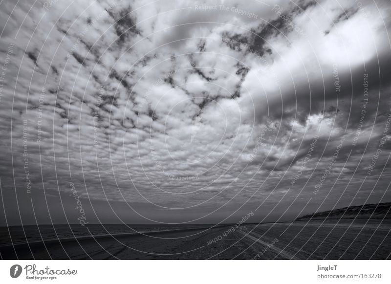 cloudy Clouds Sky Beach Ocean Far-off places Longing Relaxation Dramatic Black & white photo Deserted Loneliness Ameland Island Netherlands Coast Deep