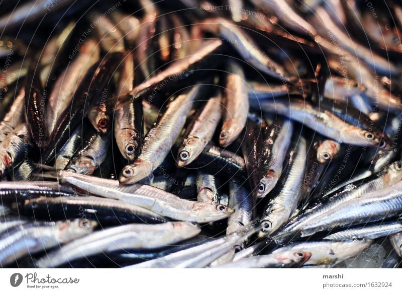 anchovies Animal Dead animal Fish Moody Portugal Markets Sardine Fishy Small Fish market Algarve Delicious Food Nutrition Healthy Eating Food photograph