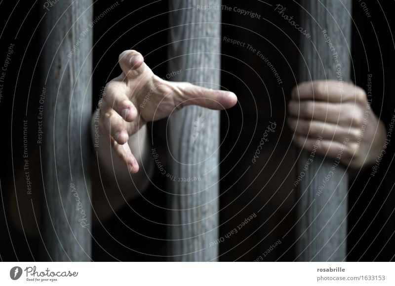 Hands of a locked up person cling to thick wooden sticks in prison and are stretched out outside seeking help, begging for mercy Human being Dark Black