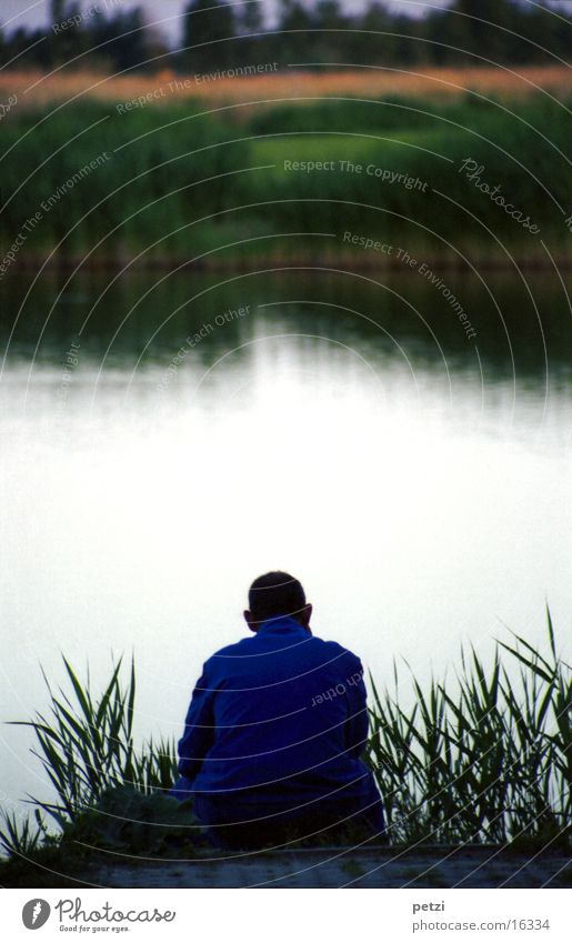 silence Calm Lake Dusk Sunset Reflection Fisherman Common Reed Grass Man Evening Peaceful Sit Rear view