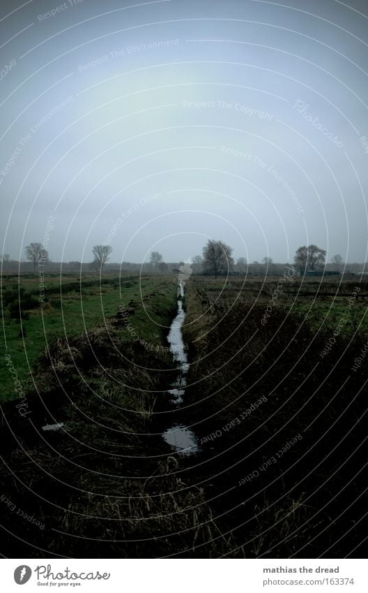 rivulet Pasture Willow tree Willow-tree Field Meadow Green Landscape Nature Water Runlet Flow Sky Covered Dark Gloomy Deserted Tree Gray Autumn Transience Seep