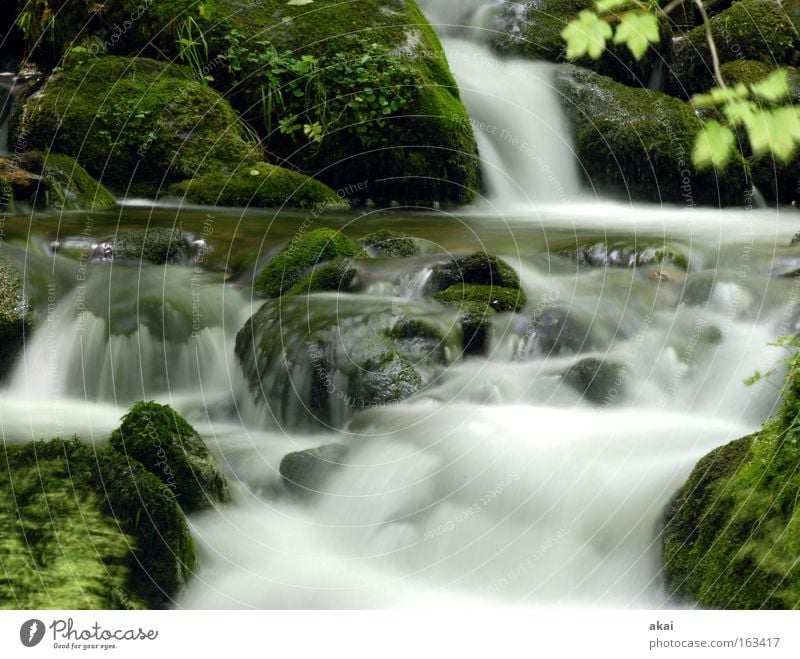 noise Waterfall Mountain stream Brook Long exposure Soft River gray filter Black Forest Whitewater Mountain torrent White crest Current Rapid Dreisam