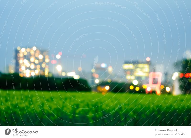 Lights in the evening Colour photo Multicoloured Exterior shot Abstract Deserted Evening Twilight Night Silhouette Long exposure Blur Sky Cloudless sky Tree