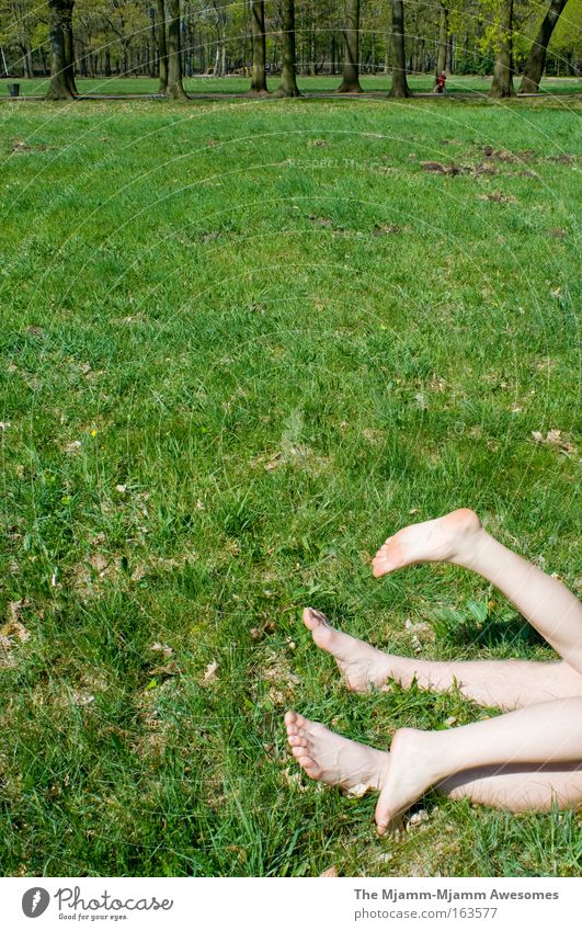 butterflies in the park Colour photo Exterior shot Copy Space left Copy Space middle Day Sunbeam Central perspective Full-length Rear view Forward Human being