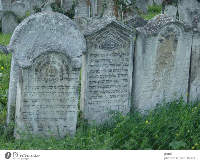 gravestones Tombstone Grass Characters Old Derelict