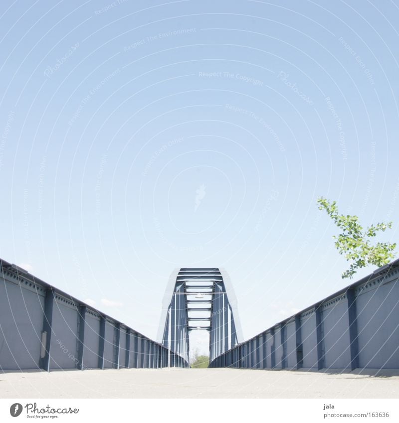 blue gate bridge Colour photo Exterior shot Deserted Day Worm's-eye view Sky Cloudless sky Plant Tree Bushes River bank Brook Port City Bridge