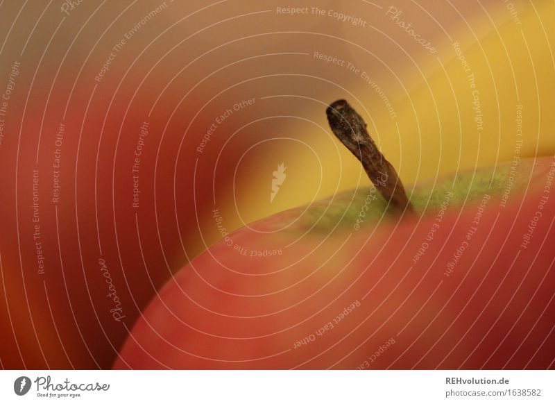 apple Food Apple Nutrition Healthy Health care Healthy Eating Colour photo Interior shot Deserted Artificial light Blur Shallow depth of field