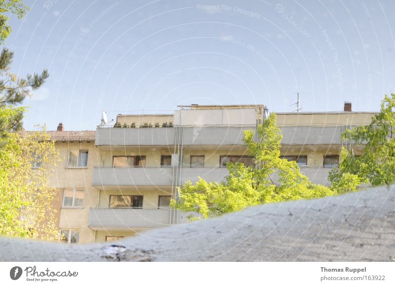 Wrong way Colour photo Exterior shot Deserted Copy Space top Day Reflection Sky Spring Beautiful weather Tree Puddle Offenbach Germany Europe Town