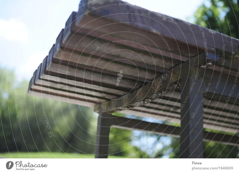 Park bench view from below Wood Metal Authentic Gray Bench Garden bench Seating expedient Wood strip Break Subdued colour Exterior shot Deserted Copy Space left