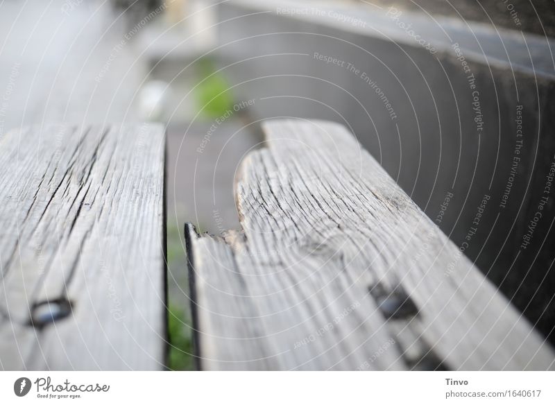 broken Wood Old Gray Bench Table Broken aborted Brittle Patina Weathered Subdued colour Exterior shot Close-up Deserted Copy Space right Copy Space top