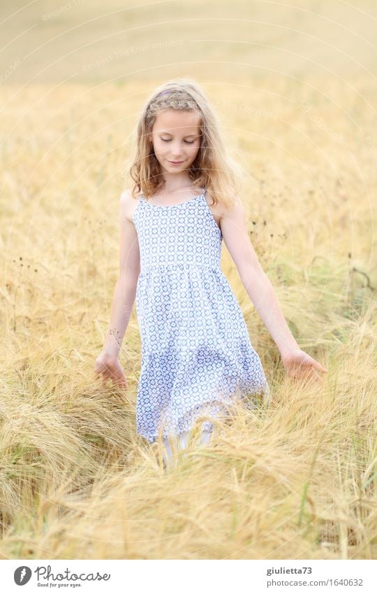 summer feeling ||| Feminine Child Girl Infancy 1 Human being 8 - 13 years Summer Field Grain field Cornfield Dress Blonde Long-haired Touch Think Going Smiling