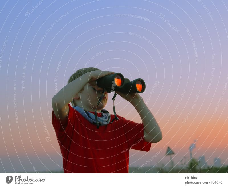 birdwatchers Colour photo Exterior shot Detail Copy Space right Copy Space top Evening Twilight Sunrise Sunset Worm's-eye view Front view Half-profile Forward