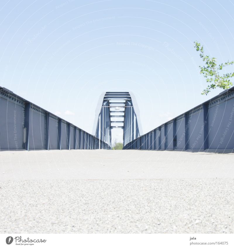 blue gate bridge II Colour photo Exterior shot Copy Space top Copy Space bottom Day Sunlight Worm's-eye view Calm Trip Summer Cloudless sky Tree River bank