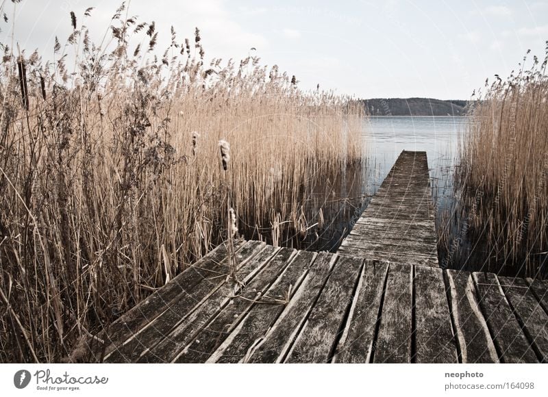 The footbridge of the house at the lake Subdued colour Exterior shot Deserted Copy Space top Copy Space bottom Evening Contrast Deep depth of field Long shot