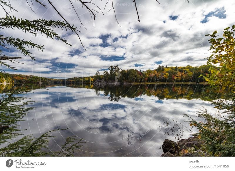 Clouds Nature Landscape Autumn Tree Leaf Wild plant Pond Lake Serene Vacation & Travel foliage reflection Colour photo Exterior shot Deserted Wide angle