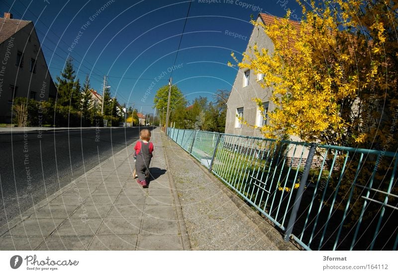 In the afternoon Colour photo Multicoloured Exterior shot Deserted Copy Space left Copy Space bottom Morning Day Shadow Sunlight Deep depth of field