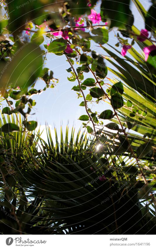 From the jungle I Environment Nature Esthetic Virgin forest Leaf canopy Fern Palm tree Palm frond Green Primordial South Summer Summer vacation Vacation photo