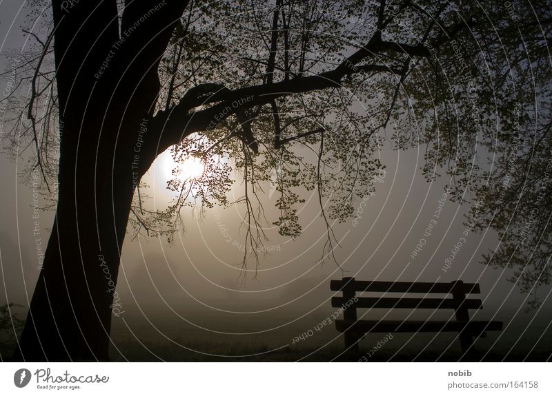 early at 7 Colour photo Exterior shot Deserted Morning Sunrise Sunset Shallow depth of field Wide angle Nature Landscape Water Sunlight Autumn Weather