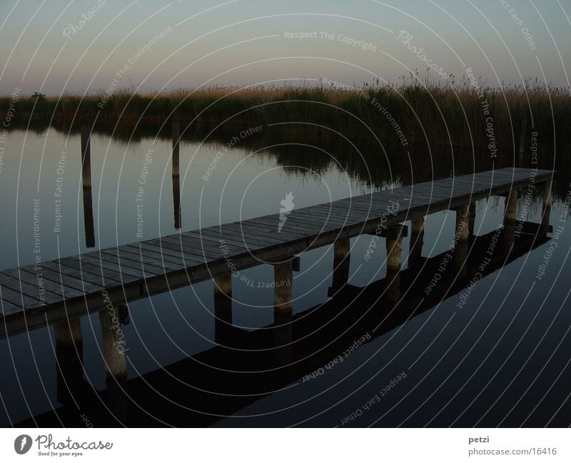 The footbridge Water Lake Emotions Moody Sadness Lovesickness Homesickness Loneliness Footbridge Joist Common Reed Dusk Sunset Colour photo Multicoloured