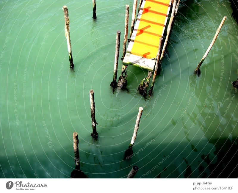 Yellow carpet Colour photo Exterior shot Deserted Morning Day Shadow Reflection Sunlight Bird's-eye view Calm Water River bank Footbridge Wood Jump Green End