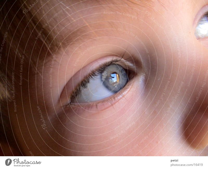 Childlike moment Hair and hairstyles Face Eyes Blue Cheek Colour photo Multicoloured Exterior shot Detail Central perspective Forward