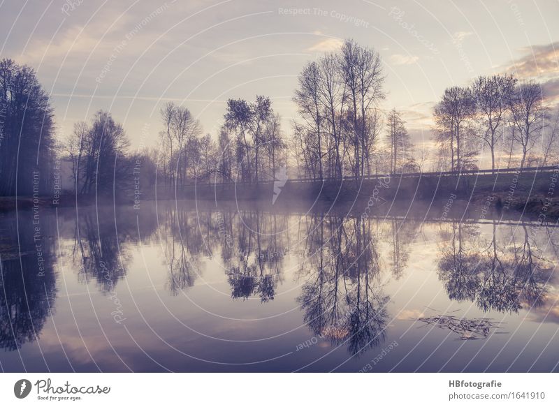 reflections Environment Nature Landscape Sunrise Sunset Spring Fog Bog Marsh Pond Lake Freedom Dream Environmental protection Contentment Dawn Morning