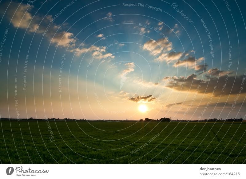 steeling Colour photo Exterior shot Experimental Deserted Evening Twilight Light Contrast Silhouette Light (Natural Phenomenon) Sunlight Sunbeam Sunrise Sunset