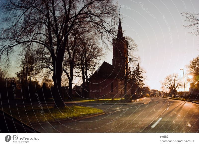 street lighting Cloudless sky Horizon Climate Beautiful weather Tree Saxony-Anhalt Germany House (Residential Structure) Church Transport Street Warmth Idyll