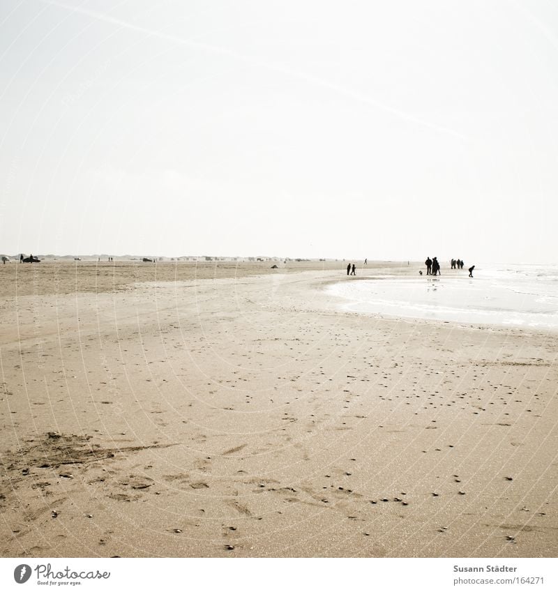 On the beach of Römö Colour photo Subdued colour Multicoloured Exterior shot Copy Space left Copy Space top Copy Space bottom Day Light Contrast Silhouette