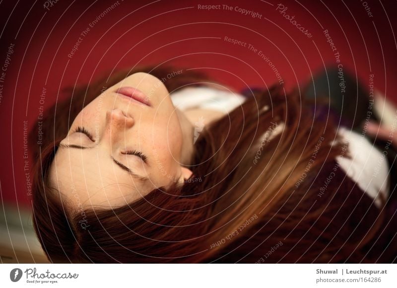 La Belle au bois dormant Colour photo Close-up Bird's-eye view Portrait photograph Upper body Profile Upward Closed eyes Elegant Beautiful Hair and hairstyles