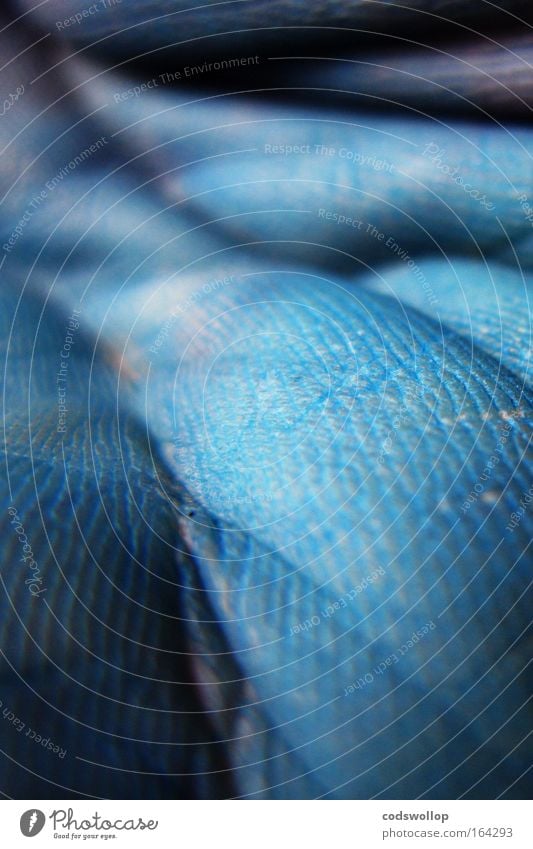 the blue hand Colour photo Close-up Detail Macro (Extreme close-up) Abstract Structures and shapes Copy Space top Copy Space bottom Contrast Deep depth of field