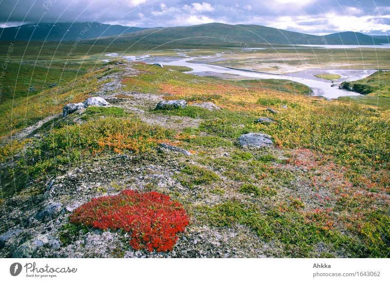 scene Harmonious Well-being Relaxation Calm Fragrance Far-off places Autumn Moss Mountain Delta Fjeld Blue Yellow Green Orange Red Uniqueness Creativity