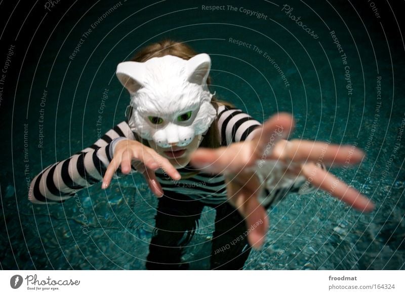 cat paws Colour photo Interior shot Evening Artificial light Shallow depth of field Bird's-eye view Upper body Looking Looking into the camera Human being